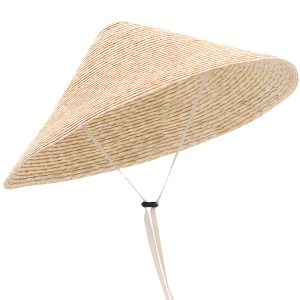 Chapeau de Paille Asiatique