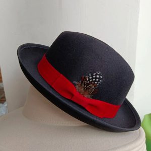 chapeau melon fedorap plume