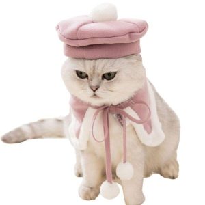 béret chat boho chic