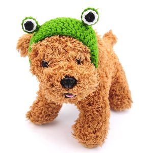 Bob pour chien avec yeux verts