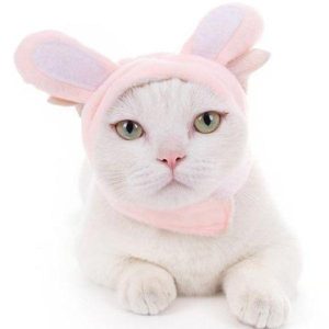 bonnet lapin rose chat