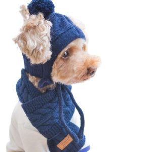 bonnet pour chien en laine d'hiver