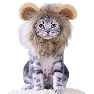 Bonnet pour Chat Cosplay Lion