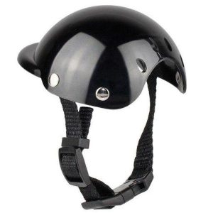 Chapeau moto chien