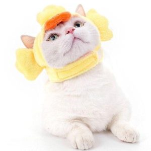 bonnet pour chat avec tête de canard