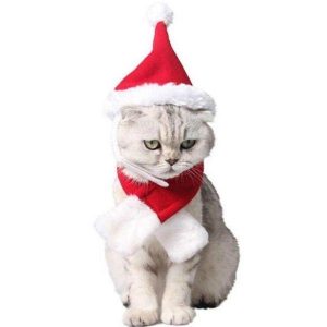 bonnet chat Mère Noël