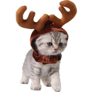 bonnet chat renne de Noël