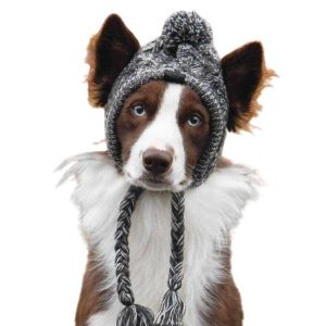 bonnet pour chien péruvien