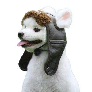 bonnet pour chien
