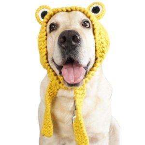 bonnet pour chien au tricot XL