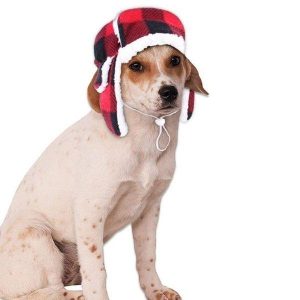 bonnet pour chien Québec XL