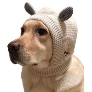 bonnet pour chien intégral