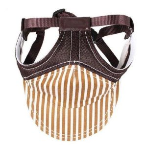 casquette pour chien