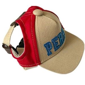 Casquette pour chien mode
