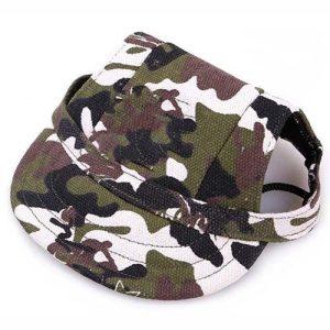 accessoire chien sportif