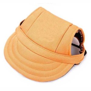 casquette pour chien streetwear