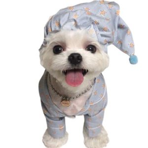chapeau pour chien