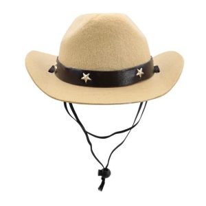 chapeau pour chien cowboy