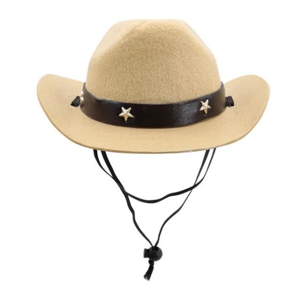 chapeau pour chien cowboy