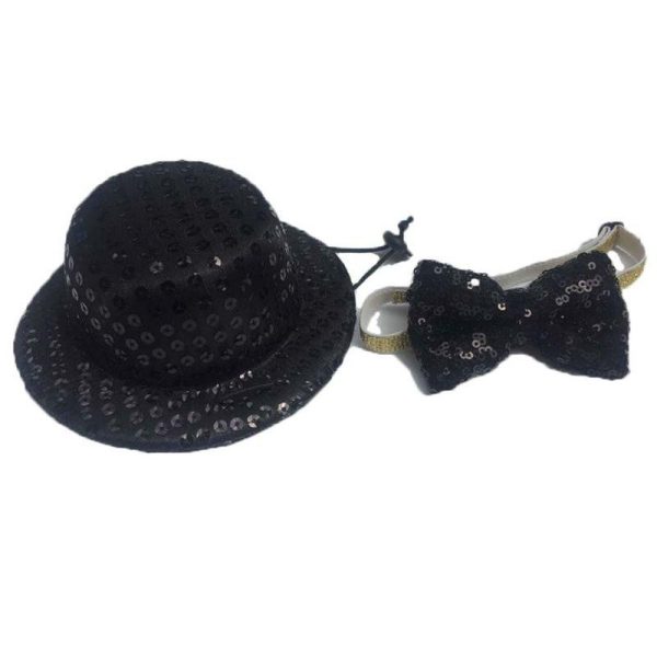 chapeau noir pour chien