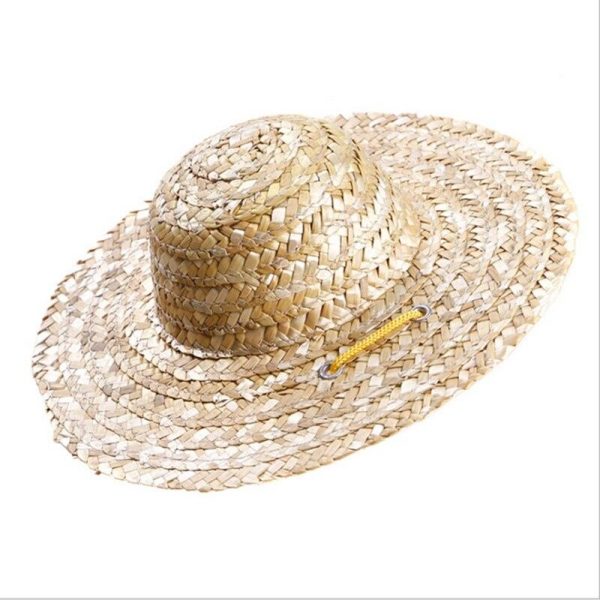 chapeau pour chien en paille