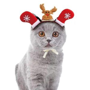 chapeau de Noël pour chat