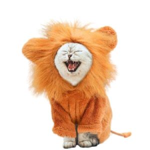 chapeau pour chat en lion