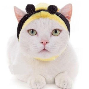 Vue de profil du chapeau pour chat Maya l'Abeille