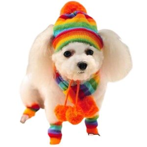 chapeau pour chien