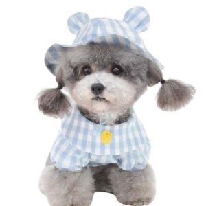 chapeau chien carreaux vichy