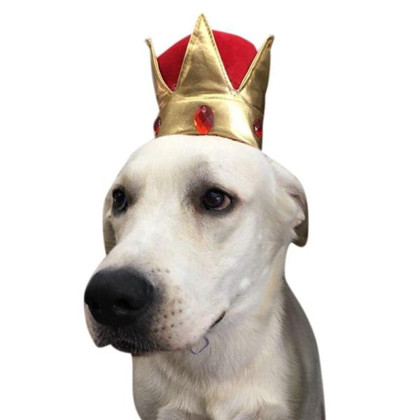 chapeau pour chien royal