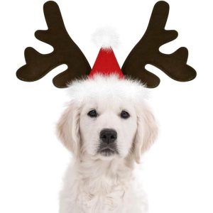 chapeau pour chien renne