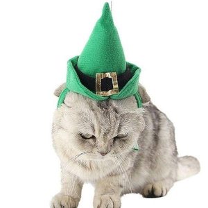 chapeau de chat sorcière