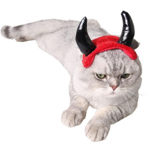 chapeau pour chat rouge