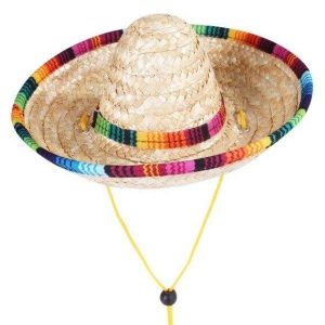 chapeau pour chien en paille multicolore