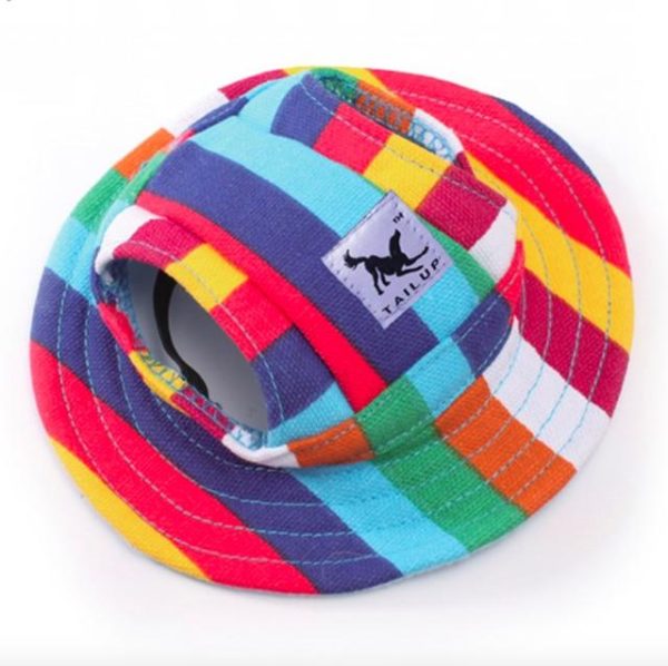 chapeau pour chat streetwear